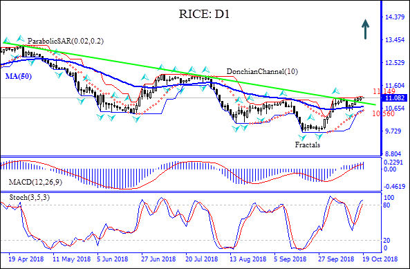 Rice price breaches above resistance line Technical  Analysis IFC Markets