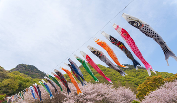 Japan Holiday Japan Holiday