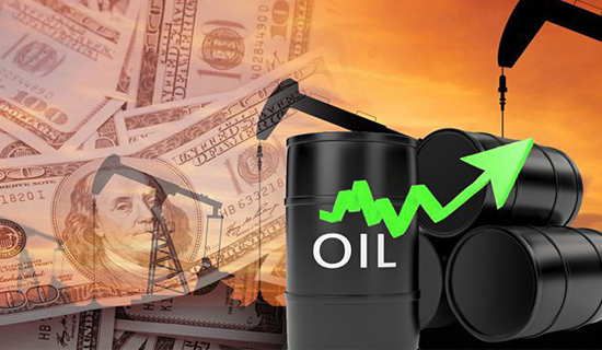 Oil rises in price against the background of the forecast of global demand from OPEC
