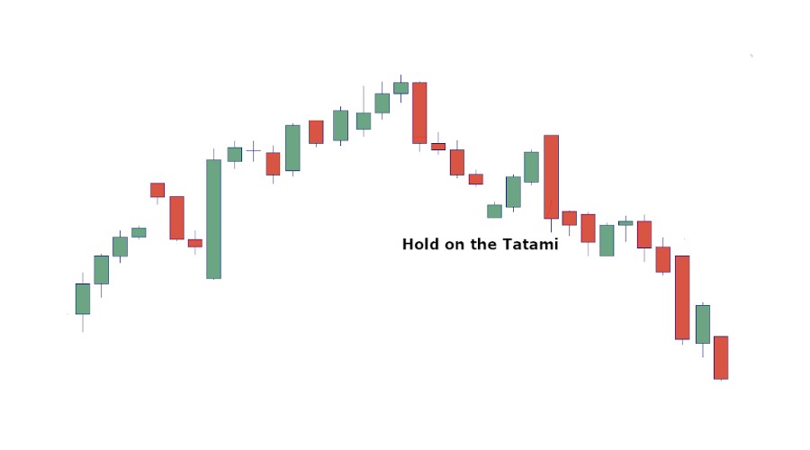 Pattern Hold on the Tatami