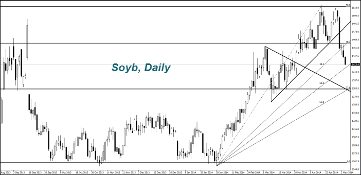 Soyb, Daily