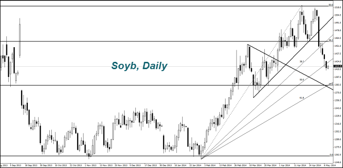 Soyb, Daily Soyb, Daily