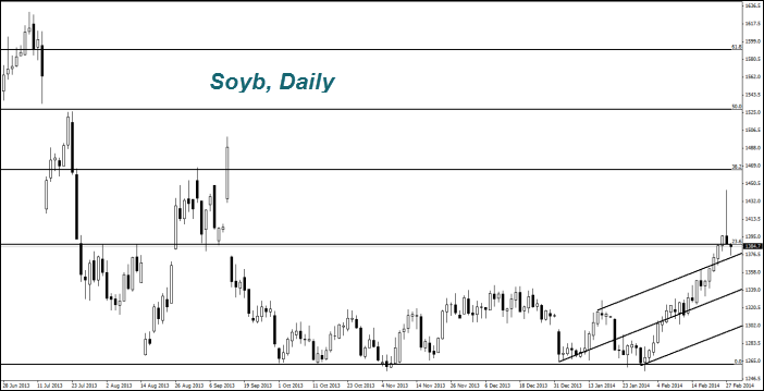 Soyb, Daily