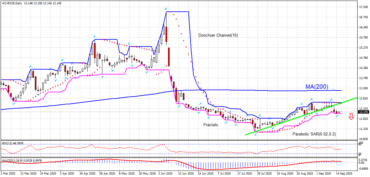 İşlenmemiş Pirinç Grafik analizi İşlenmemiş Pirinç Grafik analizi