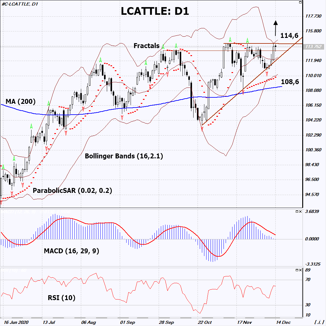 Canlı Sığır Grafik analizi Canlı Sığır Grafik analizi