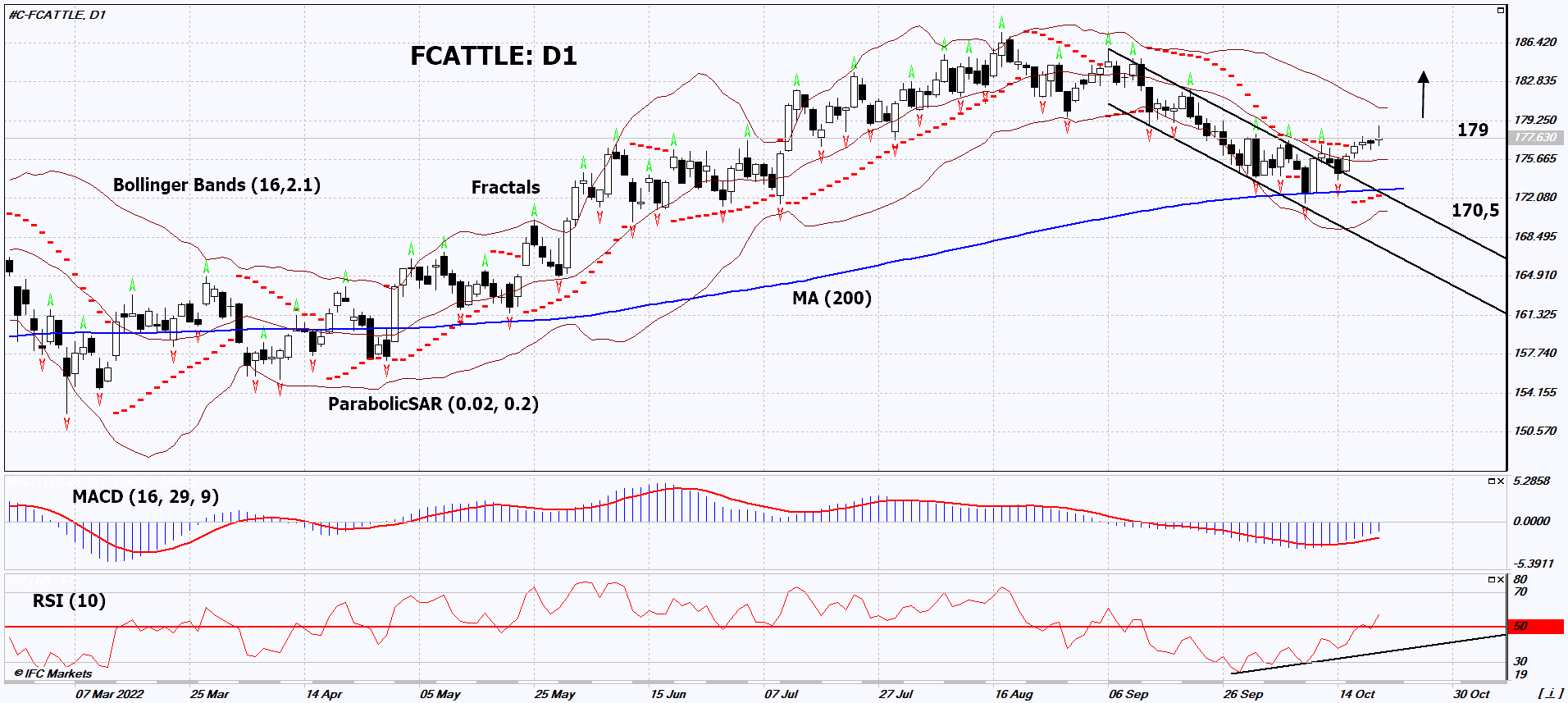 Feeder Cattle Chart Analysis Feeder Cattle Chart Analysis