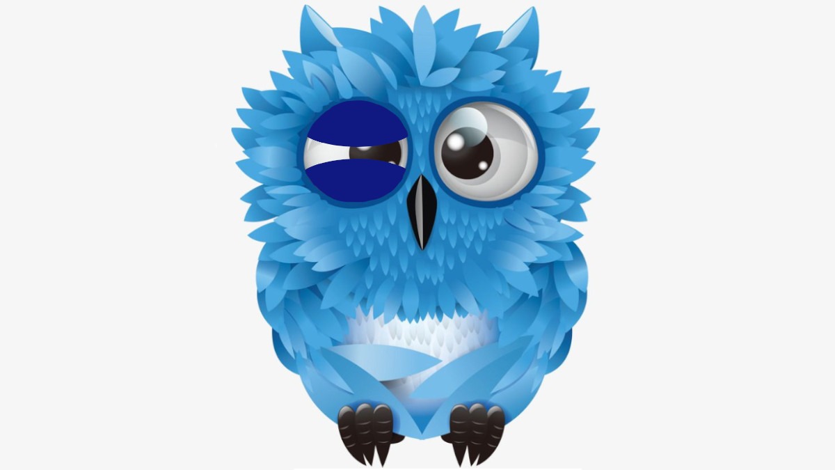 Private Market in 2026: Blue Owl Capital