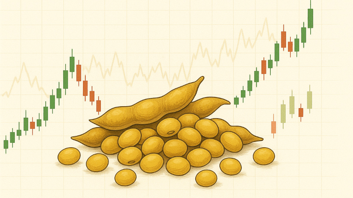 Soybeans Price Analysis - Trends and Drivers