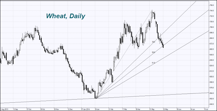 Wheat, Daily